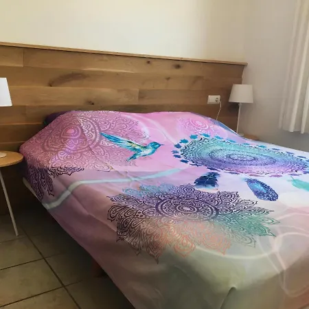 Sun Sea Sleep